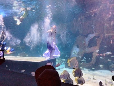 Aquarium Phuket 3